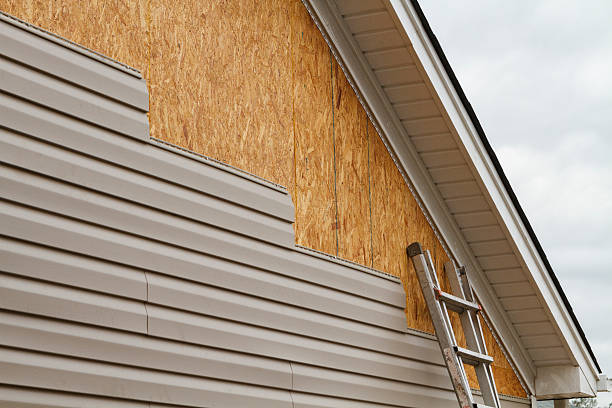 Professional Storm Damage Siding Repair technician working in Ward, CO